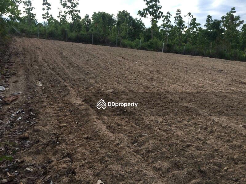 For Sale - land for sale, Thung Yao Subdistrict, Pai District, Mae Hong Son Province, area 11 rai., Mae Hong Son