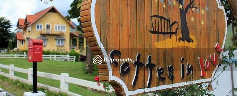 For Sale - land for sale, Thung Yao Subdistrict, Pai District, Mae Hong Son Province, area 11 rai., Mae Hong Son