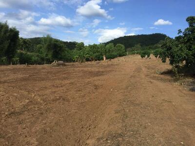 ขาย - ขายที่ดินเปล่าต.เวียงเหนือ​ อ.ปาย จ.แม่ฮ่องสอน เนื้อที่ 16 ไร่, แม่ฮ่องสอน