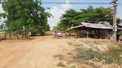 ขาย - ขายที่ดิน 79และ123 ไร่ แปลงสวยติดถนนใหญ่ ถนนสุวินทวงศ์ อ.บางน้ำเปรี้ยว จ.ฉะเชิงเทรา วิ่งเส้น 304, ฉะเชิงเทรา