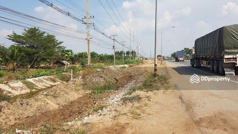 ขาย - ขายที่ดิน 79และ123 ไร่ แปลงสวยติดถนนใหญ่ ถนนสุวินทวงศ์ อ.บางน้ำเปรี้ยว จ.ฉะเชิงเทรา วิ่งเส้น 304, ฉะเชิงเทรา