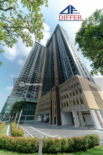 ให้เช่า - Plum Condo Central Station (Phase 1) : พลัม คอนโด เซ็นทรัล สเตชั่น (เฟส 1), นนทบุรี