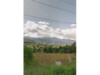 ขาย - ขายที่ดิน ต.ทุ่งยาว อ.ปาย จ.แม่ฮ่องสอน เนื้อที่ 3-3-30 ไร่, แม่ฮ่องสอน