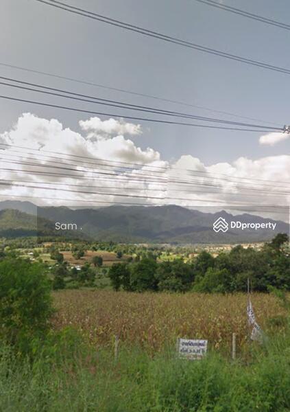 For Sale - Land for sale, Thung Yao, Pai , Mae Hong Son ( 3-3-30 rai.), Mae Hong Son