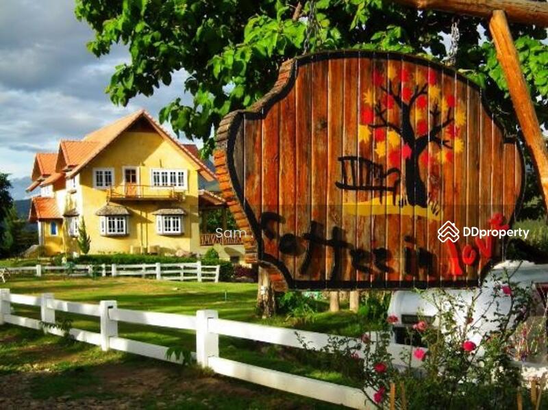 For Sale - Land for sale, Thung Yao, Pai , Mae Hong Son ( 3-3-30 rai.), Mae Hong Son