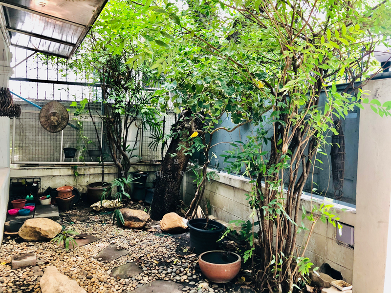 House for rent , Preedee 41 , Sukhumvit 71 , 4 beds 2 baths , Living , pet welcome ,Rent 62,000 B/m, Bangkok, สุขุมวิท 71, Phra Kanong Nua, Watthana, Bangkok, 4 Bedrooms, 240 sqm, Townhouse For Rent, by คัทยวรรณ หิรัญจิโรจน์, 6560788 - DDproperty.com