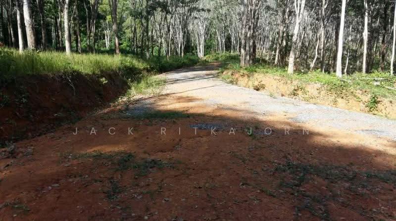 Lowest Price for Ocean View Land in Paklok Phuket, 13 Rai, Astonishing Sunrise View, ป่าคลอก, ถลาง, ภูเก็ต, 20,800 ตร.ม., ที่ดิน ขาย, โดย Sittidach Ritkajorn (Jack ), 6566939 - DDproperty.com