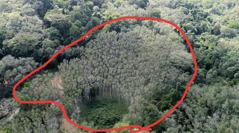 Lowest Price for Ocean View Land in Paklok Phuket, 13 Rai, Astonishing Sunrise View, Pa Khlok, Thalang, Phuket, , 20,800 sqm, Land For Sale, by Sittidach Ritkajorn (Jack ), 6566939 - DDproperty.com