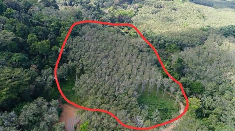 Lowest Price for Ocean View Land in Paklok Phuket, 13 Rai, Astonishing Sunrise View, ป่าคลอก, ถลาง, ภูเก็ต, 20,800 ตร.ม., ที่ดิน ขาย, โดย Sittidach Ritkajorn (Jack ), 6566939 - DDproperty.com