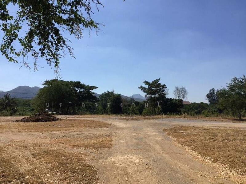 ที่ดินปากช่อง นครราชสีมา 43 ไร่ (แบ่งขาย 21 ไร่ได้) หน้ากว้างติดถนนมิตรภาพ 220 ม., Nakhon Ratchasima, มิตรภาพ, Klang Dong, Pak Chong, Nakhon Ratchasima, , 33,600 sqm, Land For Sale, by Sirithong Saetang, 6570385 - DDproperty.com