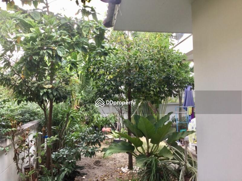 For Sale - ขาย, Nakhon Ratchasima