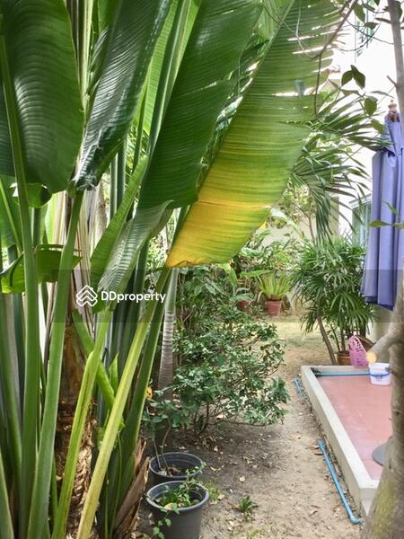 For Sale - ขาย, Nakhon Ratchasima