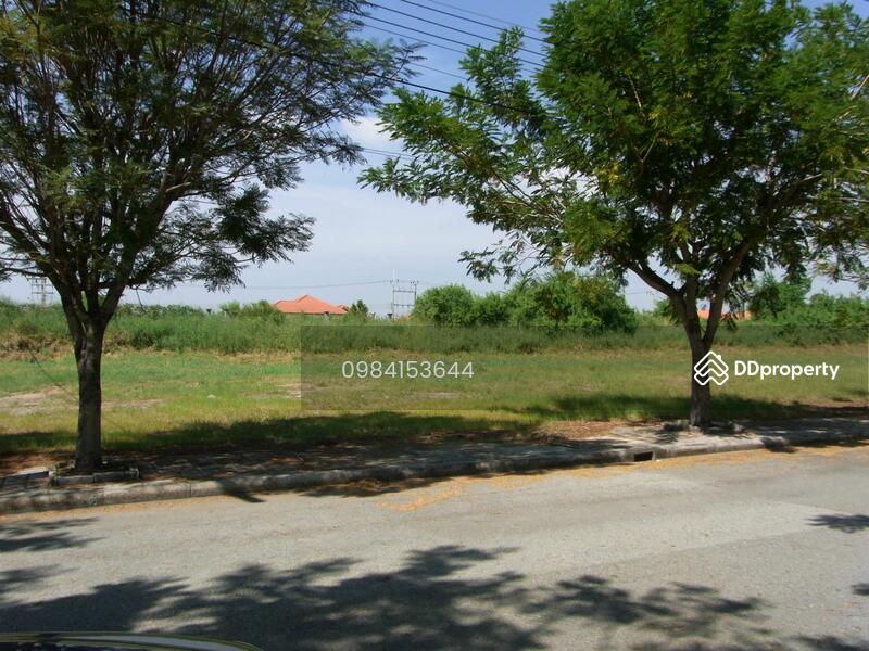 ที่ดินถมแล้ว 159 ตารางวา หมู่บ้านวิจิตราธาน๊ บรรรยากาศดี, Chachoengsao, บางนา-ตราด กม.36, Hom Sil, Bang Pakong, Chachoengsao, , 640 sqm, Land For Sale, by คุณอัมพร ศิริภานุรัตน์, 663941 - DDproperty.com
