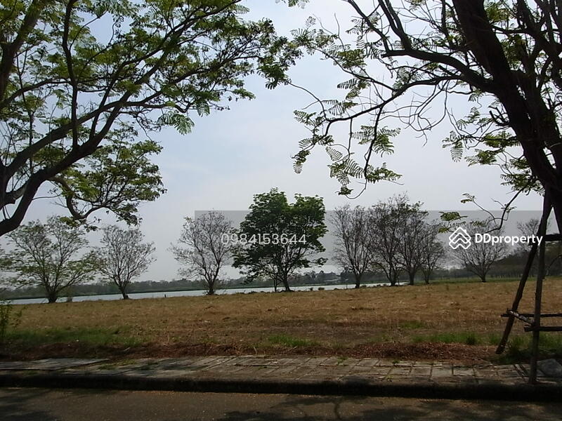 ที่ดินถมแล้ว 159 ตารางวา หมู่บ้านวิจิตราธาน๊ บรรรยากาศดี, Chachoengsao, บางนา-ตราด กม.36, Hom Sil, Bang Pakong, Chachoengsao, , 640 sqm, Land For Sale, by คุณอัมพร ศิริภานุรัตน์, 663941 - DDproperty.com