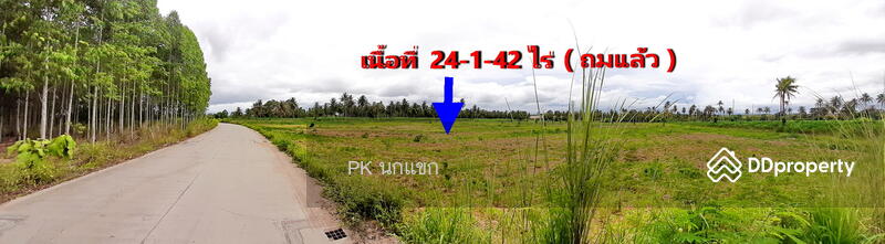 ขายที่ดิยแปลงใหญ่ อำเภอศรีราชา จังหวัดชลบุรี, ชลบุรี, หนองแชวะ ซอย 1, บึง, ศรีราชา, ชลบุรี, 152,000 ตร.ม., ที่ดิน ขาย, โดย ยุภาพร ศุภผลา, 6656279 - DDproperty.com