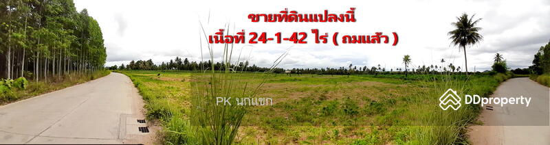 ขายที่ดิยแปลงใหญ่ อำเภอศรีราชา จังหวัดชลบุรี, Chon Buri (Pattaya), หนองแชวะ ซอย 1, Bueng, Si Racha, Chon Buri (Pattaya), , 152,000 sqm, Land For Sale, by ยุภาพร ศุภผลา, 6656279 - DDproperty.com