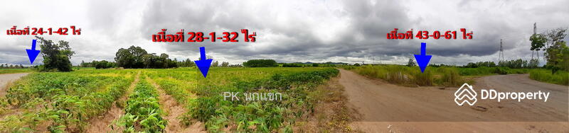 ขายที่ดิยแปลงใหญ่ อำเภอศรีราชา จังหวัดชลบุรี, Chon Buri (Pattaya), หนองแชวะ ซอย 1, Bueng, Si Racha, Chon Buri (Pattaya), , 152,000 sqm, Land For Sale, by ยุภาพร ศุภผลา, 6656279 - DDproperty.com