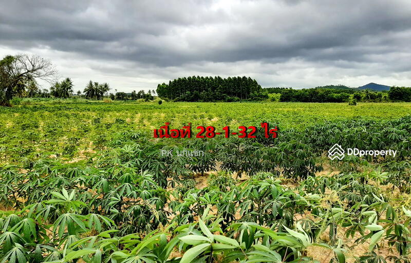 ขายที่ดิยแปลงใหญ่ อำเภอศรีราชา จังหวัดชลบุรี, Chon Buri (Pattaya), หนองแชวะ ซอย 1, Bueng, Si Racha, Chon Buri (Pattaya), , 152,000 sqm, Land For Sale, by ยุภาพร ศุภผลา, 6656279 - DDproperty.com