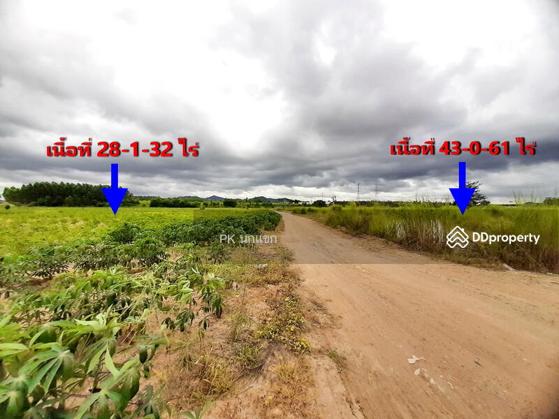 ขายที่ดิยแปลงใหญ่ อำเภอศรีราชา จังหวัดชลบุรี, Chon Buri (Pattaya), หนองแชวะ ซอย 1, Bueng, Si Racha, Chon Buri (Pattaya), , 152,000 sqm, Land For Sale, by ยุภาพร ศุภผลา, 6656279 - DDproperty.com