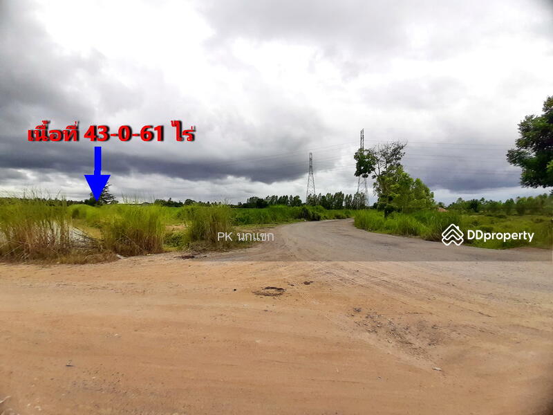 ขายที่ดิยแปลงใหญ่ อำเภอศรีราชา จังหวัดชลบุรี, Chon Buri (Pattaya), หนองแชวะ ซอย 1, Bueng, Si Racha, Chon Buri (Pattaya), , 152,000 sqm, Land For Sale, by ยุภาพร ศุภผลา, 6656279 - DDproperty.com