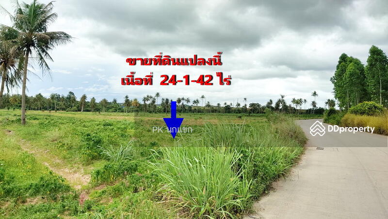 ขายที่ดิยแปลงใหญ่ อำเภอศรีราชา จังหวัดชลบุรี, Chon Buri (Pattaya), หนองแชวะ ซอย 1, Bueng, Si Racha, Chon Buri (Pattaya), , 152,000 sqm, Land For Sale, by ยุภาพร ศุภผลา, 6656279 - DDproperty.com