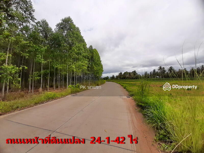 ขายที่ดิยแปลงใหญ่ อำเภอศรีราชา จังหวัดชลบุรี, Chon Buri (Pattaya), หนองแชวะ ซอย 1, Bueng, Si Racha, Chon Buri (Pattaya), , 152,000 sqm, Land For Sale, by ยุภาพร ศุภผลา, 6656279 - DDproperty.com
