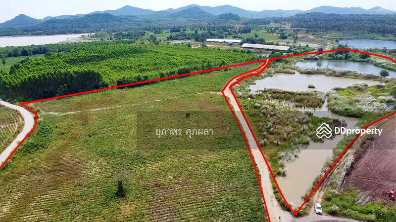 ขายที่ดิยแปลงใหญ่ อำเภอศรีราชา จังหวัดชลบุรี, Chon Buri (Pattaya), หนองแชวะ ซอย 1, Bueng, Si Racha, Chon Buri (Pattaya), , 152,000 sqm, Land For Sale, by ยุภาพร ศุภผลา, 6656279 - DDproperty.com