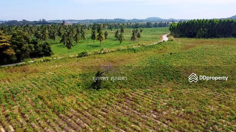 ขายที่ดิยแปลงใหญ่ อำเภอศรีราชา จังหวัดชลบุรี, Chon Buri (Pattaya), หนองแชวะ ซอย 1, Bueng, Si Racha, Chon Buri (Pattaya), , 152,000 sqm, Land For Sale, by ยุภาพร ศุภผลา, 6656279 - DDproperty.com