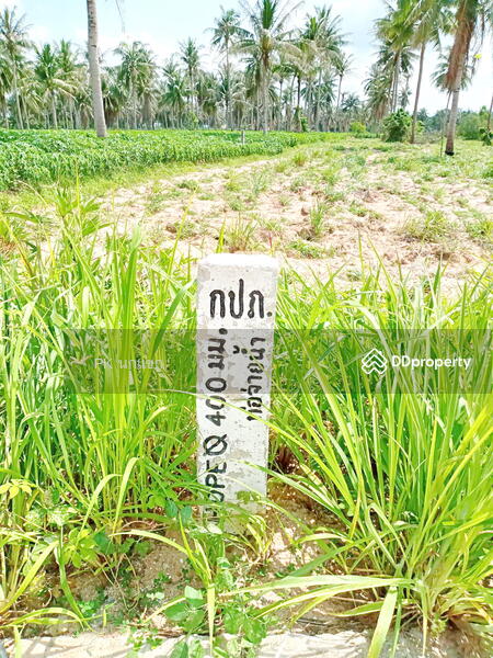 ขายที่ดิยแปลงใหญ่ อำเภอศรีราชา จังหวัดชลบุรี, ชลบุรี, หนองแชวะ ซอย 1, บึง, ศรีราชา, ชลบุรี, 152,000 ตร.ม., ที่ดิน ขาย, โดย ยุภาพร ศุภผลา, 6656279 - DDproperty.com