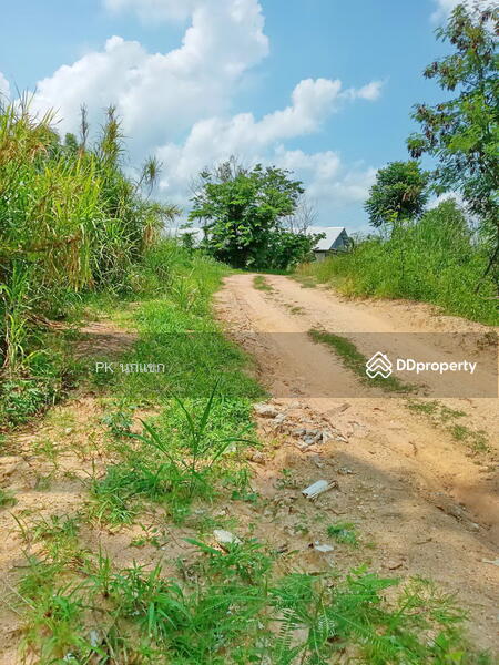 ขายที่ดิยแปลงใหญ่ อำเภอศรีราชา จังหวัดชลบุรี, Chon Buri (Pattaya), หนองแชวะ ซอย 1, Bueng, Si Racha, Chon Buri (Pattaya), , 152,000 sqm, Land For Sale, by ยุภาพร ศุภผลา, 6656279 - DDproperty.com