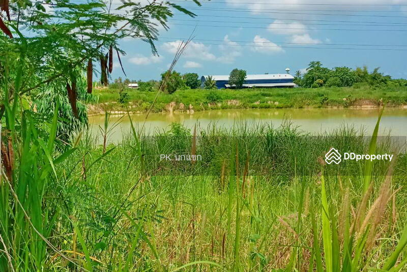 ขายที่ดิยแปลงใหญ่ อำเภอศรีราชา จังหวัดชลบุรี, Chon Buri (Pattaya), หนองแชวะ ซอย 1, Bueng, Si Racha, Chon Buri (Pattaya), , 152,000 sqm, Land For Sale, by ยุภาพร ศุภผลา, 6656279 - DDproperty.com