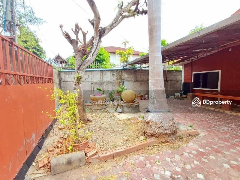 Changphueak, Chiang Mai, Thanon Chang Khian, Chang Phuak, Muang Chiang Mai, Chiang Mai, 2 Bedrooms, 130 sqm, Single Detached House For Rent, by วุฒิภัทร มิ่งคำ, 6669418 - DDproperty.com