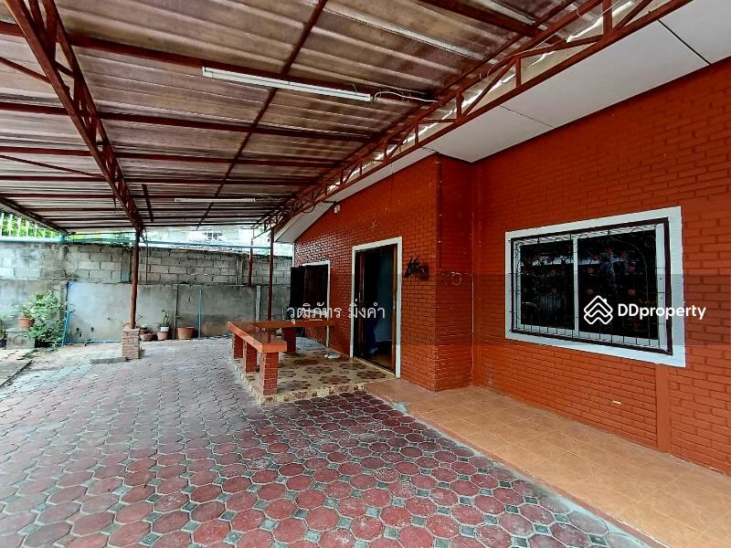 ช้างเผือก, เชียงใหม่, Thanon Chang Khian, ช้างเผือก, เมืองเชียงใหม่, เชียงใหม่, 130 ตร.ม., บ้านเดี่ยว ให้เช่า, โดย วุฒิภัทร มิ่งคำ, 6669418 - DDproperty.com