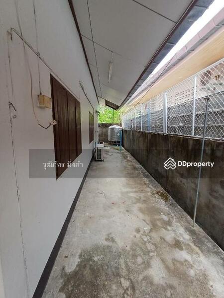 Changphueak, Chiang Mai, Thanon Chang Khian, Chang Phuak, Muang Chiang Mai, Chiang Mai, 2 Bedrooms, 130 sqm, Single Detached House For Rent, by วุฒิภัทร มิ่งคำ, 6669418 - DDproperty.com