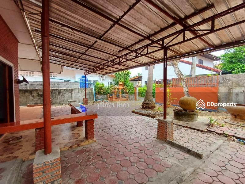 Changphueak, Chiang Mai, Thanon Chang Khian, Chang Phuak, Muang Chiang Mai, Chiang Mai, 2 Bedrooms, 130 sqm, Single Detached House For Rent, by วุฒิภัทร มิ่งคำ, 6669418 - DDproperty.com