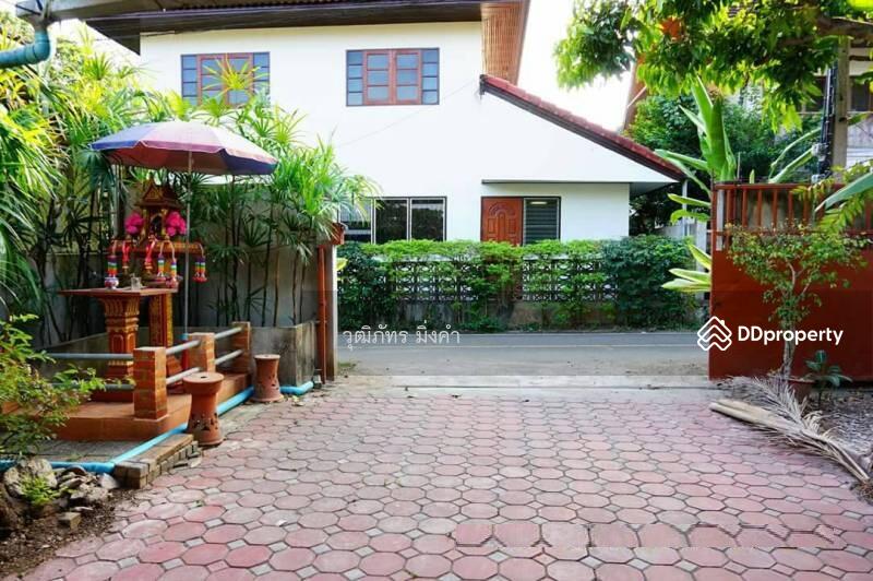 Changphueak, Chiang Mai, Thanon Chang Khian, Chang Phuak, Muang Chiang Mai, Chiang Mai, 2 Bedrooms, 130 sqm, Single Detached House For Rent, by วุฒิภัทร มิ่งคำ, 6669418 - DDproperty.com