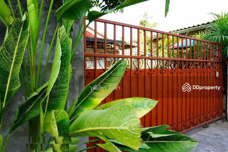 Changphueak, Chiang Mai, Thanon Chang Khian, Chang Phuak, Muang Chiang Mai, Chiang Mai, 2 Bedrooms, 130 sqm, Single Detached House For Rent, by วุฒิภัทร มิ่งคำ, 6669418 - DDproperty.com