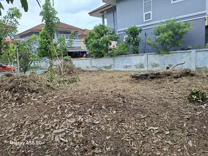Orchid Villa 1 Project, Bangna Trad Road, Samut Prakan, ถนนบางนา-ตราด กม.24, Bang Sao Thong, Samut Prakan, 3 Bedrooms, 160 sqm, Single Detached House For Sale, by Thanitcha Kangkasuwanno, 6677464 - DDproperty.com