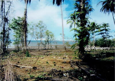 ขาย - ขาย ที่ดิน เกาะช้าง ติดหน้าทะเล หาดสวยแนวยาว, ตราด