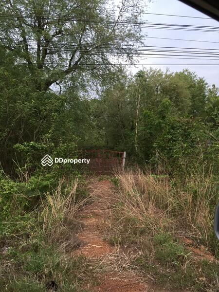ที่ดินเปล่าติดถนน มิตรภาพอุดร หนองคาย, Udon Thani, Na Phoo, Phen, Udon Thani, , 28,852 sqm, Land For Sale, by รัฐพล สิทธิศาสตร์สกุล, 670757 - DDproperty.com