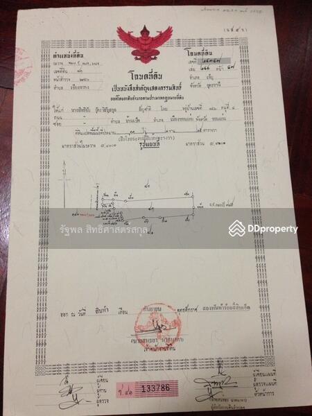 ที่ดินเปล่าติดถนน มิตรภาพอุดร หนองคาย, อุดรธานี, นาพู่, เพ็ญ, อุดรธานี, 28,852 ตร.ม., ที่ดิน ขาย, โดย รัฐพล สิทธิศาสตร์สกุล, 670757 - DDproperty.com