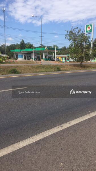 ที่ดินเปล่าติดถนน มิตรภาพอุดร หนองคาย, Udon Thani, Na Phoo, Phen, Udon Thani, , 28,852 sqm, Land For Sale, by รัฐพล สิทธิศาสตร์สกุล, 670757 - DDproperty.com