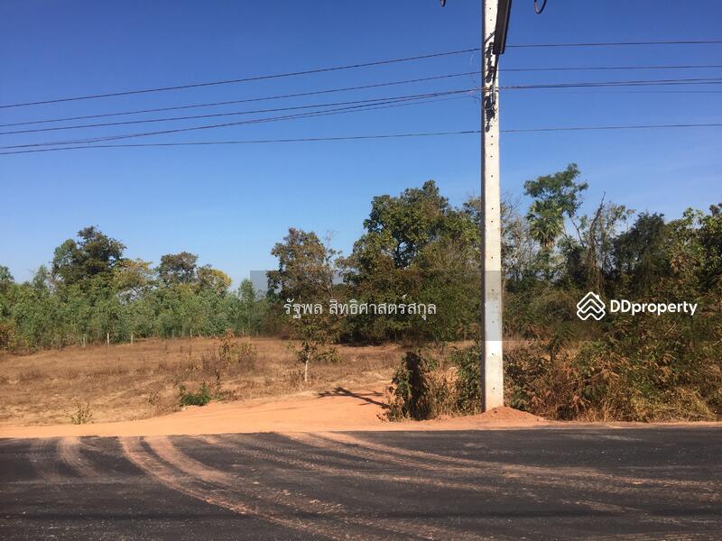 ถ่ายจากฝั่งตรงข้ามเข้าหน้าที่ดิน