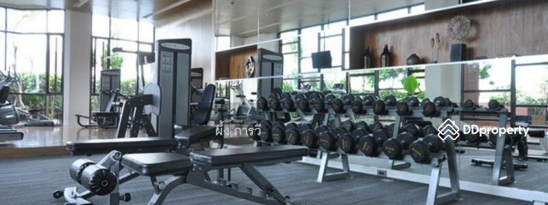 For Rent - Wyne Sukhumvit, Bangkok