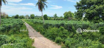 ขาย - ที่ดินบางเสร่ ทำเลดี 32ไร่75ตรว.หน้ากว้างติดถนนสุขุมวิท94เมตร ลึก457เมตรใก้ลสวนน้ำโคลัมเบีย พิคเจอร์, ชลบุรี