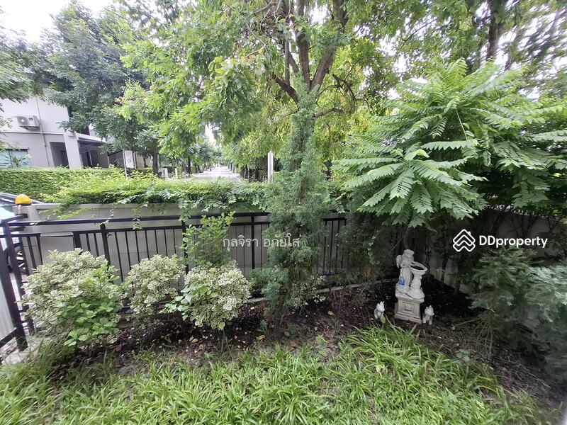 อิดิชั่น, กรุงเทพ, 22 คู๋ขนานมอเตอร์เวย์, ประเวศ, ประเวศ, กรุงเทพ, 200 ตร.ม., บ้านเดี่ยว ให้เช่า, โดย กุลจิรา อภัยโส, 6809885 - DDproperty.com