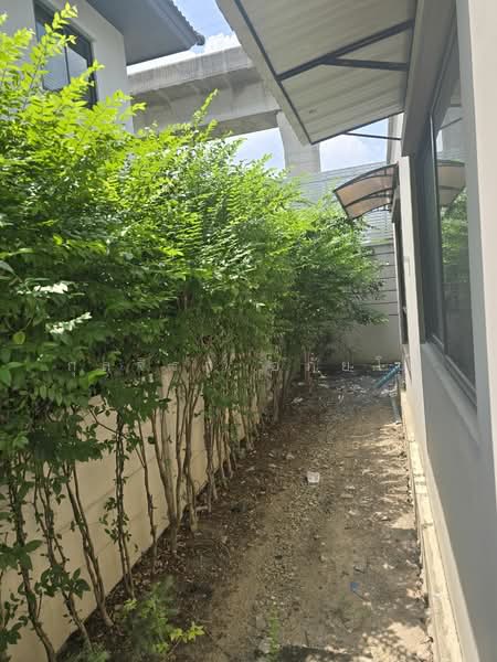 อิดิชั่น, Bangkok, 22 คู๋ขนานมอเตอร์เวย์, Prawet, Prawet, Bangkok, 3 Bedrooms, 200 sqm, Single Detached House For Rent, by กุลจิรา อภัยโส, 6809885 - DDproperty.com