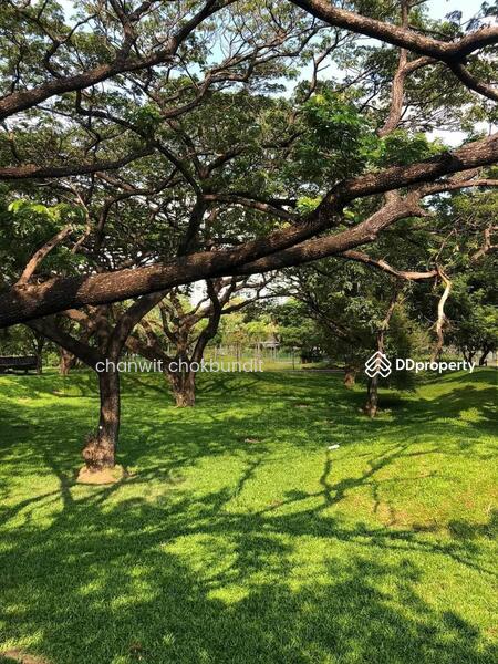 Venio Sukhumvit 10 : เวนิโอ สุขุมวิท 10, กรุงเทพ, 10 สุขุมวิท, คลองเตย, คลองเตย, กรุงเทพ, 25 ตร.ม., คอนโด ให้เช่า, โดย chanwit chokbundit, 6819203 - DDproperty.com