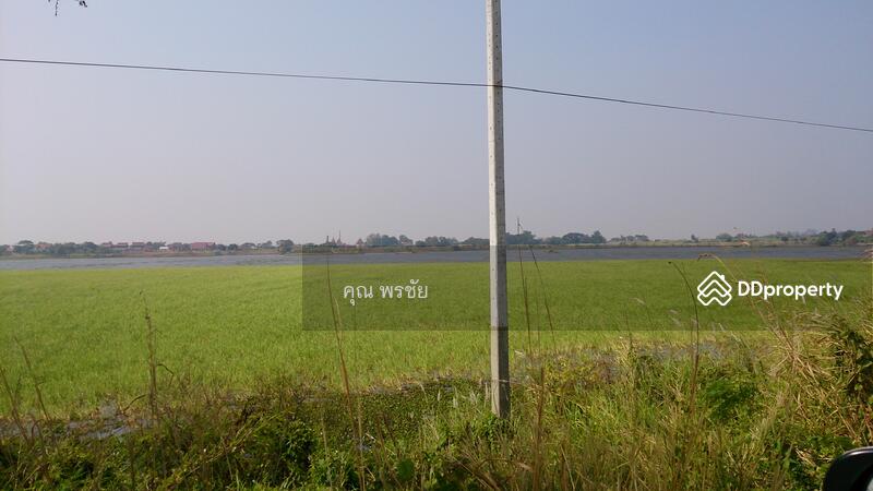 ขายที่นา 104 ไร่ ติดแม่น้ำเจ้าพระยา อ.บางบาล, พระนครศรีอยุธยา, บ้านกุ่ม, บางบาล, พระนครศรีอยุธยา, 167,502 ตร.ม., ที่ดิน ขาย, โดย คุณ พรชัย, 6835520 - DDproperty.com
