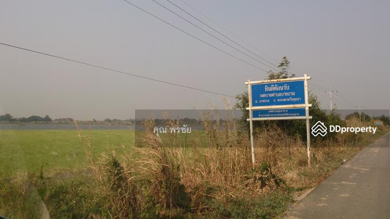 ขายที่นา 104 ไร่ ติดแม่น้ำเจ้าพระยา อ.บางบาล, พระนครศรีอยุธยา, บ้านกุ่ม, บางบาล, พระนครศรีอยุธยา, 167,502 ตร.ม., ที่ดิน ขาย, โดย คุณ พรชัย, 6835520 - DDproperty.com